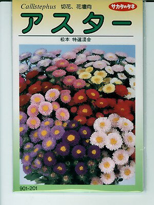 ����������ҡ��������Υ��͡����������������ܺ��硦�����㥵�����Υ���������ҤǤ������ͤΤ��Ȥʤ饰�꡼��ǥݡ�