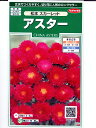 アスター種子　サカタのタネ・・・松本　スカーレット・・・＜サカタのアスター種子です。種のことならグリーンデポ＞