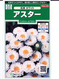 アスターの種　サカタのタネ　松本ホワイト　＜サカタのタネのアスター種子です。種のことならグリーンデポ＞