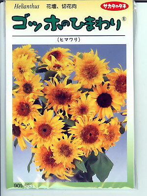 初心者にもおすすめ ひまわりの栽培方法 失敗しない育て方のコツを徹底解説 暮らし の 初心者にもおすすめ ひまわりの栽培方法 失敗しない育て方のコツを徹底解説 暮らし の