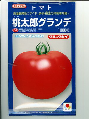 タキイ交配　桃太郎グランデ　＜タキイ種苗のトマト品種です。種の通販ならグリーンデポ＞