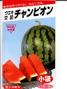 スイカの種　ウエキ交配・・・チャンピオン・・・＜横浜植木のスイカです。種のことならお任せグリーンデポ＞