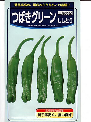 シシトウの種　三芳交配　つばきグリーン　武蔵野のシシトウの品種です。種のことならお任せグリーンデポのサムネイル