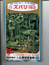 キュウリの種　ときわ交配　　ズバリ163　　ときわのキュウリです。種のことならお任せグリーンデポ