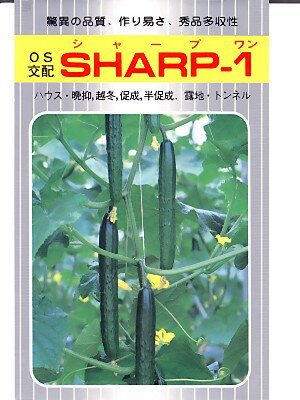 キュウリの種 OS交配・・・SHARP−1・・・＜埼玉原種育成会のキュウリ種子です 種のことならお任せグリーンデポ＞