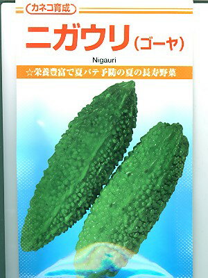 ゴーヤの種　カネコ育成　ニガウリ（ゴーヤ）　＜カネコの育成したゴーヤの品種です。種のことならお任せグリーンデポ＞のサムネイル