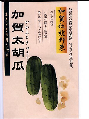 キュウリの種 加賀野菜 加賀太胡瓜 松下種苗店の加賀野菜キュウリ種子です。種のことならグリーンデポ