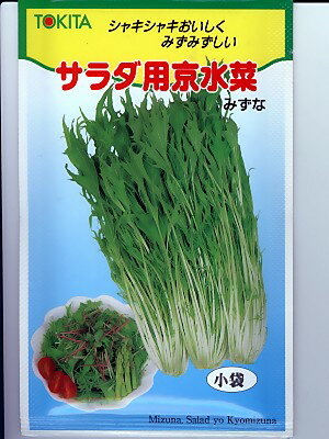 ミズナ　トキタ種苗・・・サラダ用京水菜・・・＜トキタのミズナ種子です。種のことならグリーンデポ＞