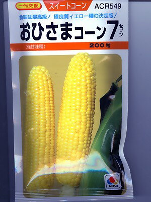 おひさまコーン7(種) 200粒