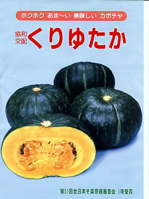 カボチャの種　一代交配・・・くりゆたか・・・＜協和のカボチャ種子です。種のことならグリーンデポ＞