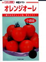 カネコ交配 オレンジオーレ カネコ種苗の中玉トマト品種です。