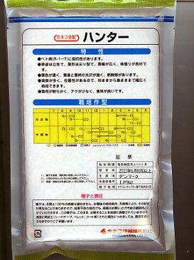 カネコ交配 ハンター法蓮草 カネコ種苗のほうれん草品種です
