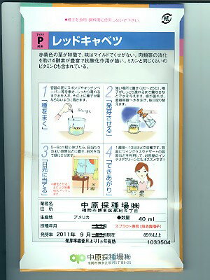 スプラウト レッドキャベツ　スプラウト用のレッドキャベツ種です。
