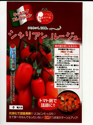 シシリアン　ルージュ　　パイオニアエコサイエンスの中玉トマト種子です..