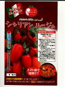 トマト　シシリアンルージュ　パイオニアエコサイエンスの中玉トマト種です。（1000粒入り）