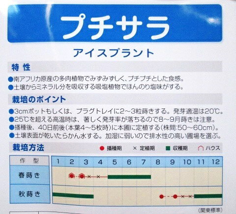�������ץ��ȡ��ץ����顡��¢����ı�Υ������ץ��ȼ�Ǥ���