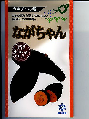 ながちゃんは、雪印種苗が開発した変わった形をしたビッグカボチャ品種です。 長さ40センチ、重さ3キログラムと大きくなります。　ヘチマやズッキーニのような形になります。 皮が薄く包丁などで簡単にカットできます。 果肉が均等に周りにつきます。 カット販売にも向いていると思います。 中の色はオレンジ色に近く美味しそうな色合いです。 ながちゃんカボチャの味は、ホクホクして甘みがあり美味しいカボチャになります。　　 見た目からは想像しづらい美味しさです。 ちょっと変わった野菜のながちゃんカボチャを栽培してみては。　結構簡単につくれます。 ながちゃんカボチャの栽培ポイントは、草勢がやや強いため元肥を従来の半分ぐらいまで落としたほうが良いようです。 2〜3キログラムぐらいで安定的に収穫するには、やや遅めの作型に向いています。