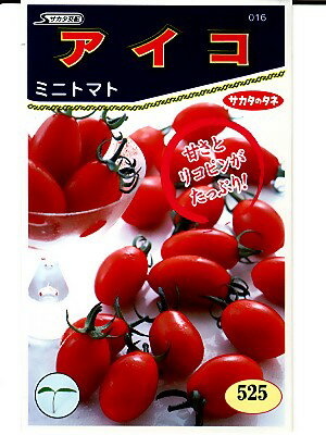 ミニトマト種　サカタ交配　アイコ　　サカタのタネのミニトマト品種です。種のことならグリーンデポ 1