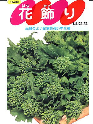 食用はなな種子　花飾り　サカタのタネの食用ナバナ種子です。種の通販ならグリーンデポ