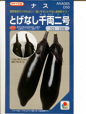 ナスの種　タキイ交配　登録品種　とげなし千両二号　タキイ種苗