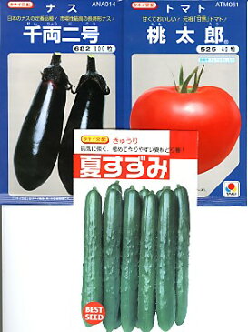 春播き野菜　果菜類の種セット　本物の味