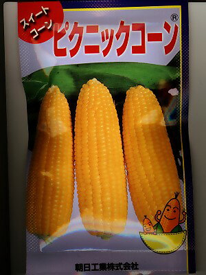 話題のピクニックコーンです。　　 ピクニックコーンは、未来390よりも甘くて濃厚な味がする特別おいしいトウモロコシ品種です。　　これは絶対おいしいと思います。 穂は手のひらサイズもミニトウモロコシです。　　ミニサイズなのでより味が凝縮してい...