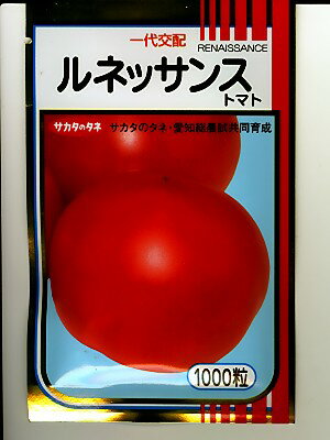 トマト 種 【 TYレッドオーレ 】 100粒 ( トマトの種 )