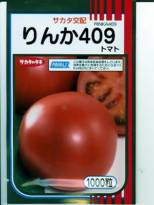 サカタ交配 りんか409 サカタのタネの大玉トマト品種です 