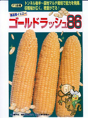 トウモロコシ　サカタ交配　ゴールドラッシュ86　サカタのタネのトウモロコシ種子です。種の通販ならグリーンデポ