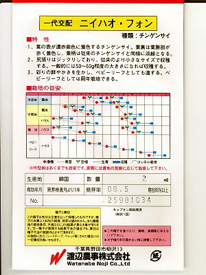 �˥��ϥ����ե��󡡡����������Υ��󥲥󥵥���ҤǤ�����Τ��Ȥʤ饰�꡼��ǥ�