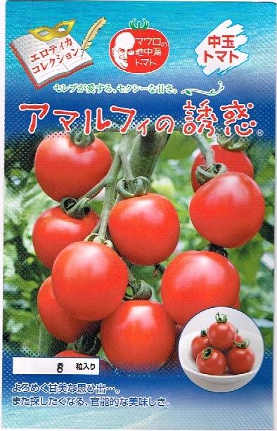 トマト　アマルフィの誘惑　パイオニアエコサイエンスの中玉トマト種です。（100粒）