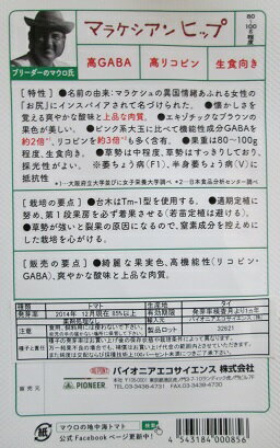 ��̥ȥޥȡ��ޥ饱������ҥåס����ѥ����˥������������󥹤���̥ȥޥ��ʼ�Ǥ���