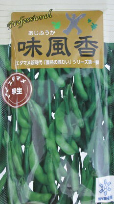 Spring Vegetables - 枝豆種子　味風香　登録品種 雪印種苗の枝豆品種です。