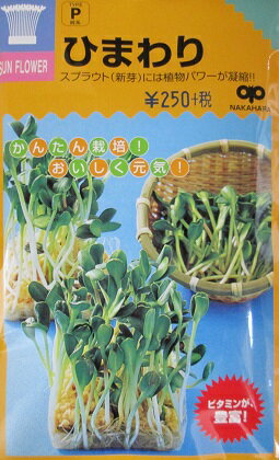 Seeds （Vegetables） - スプラウト種　ひわまり　スプラウト用のひまわり種子です。