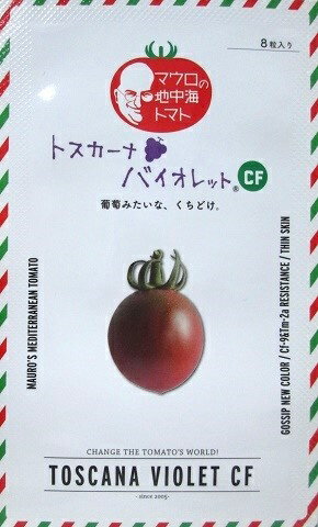 楽天GREEN　DEPOTトスカーナバイオレットCF　パイオニアエコサイエンスのミニトマト品種です。（1000粒入り）