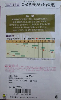 江戸川育成　ごせき晩生小松菜
