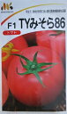 トマト種　TYみそら86　　みかど協和の大玉トマト品種です。（中袋）