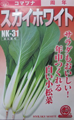 農林交配　スカイホワイトコマツナ　日本農林社の小松菜品種です