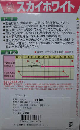 ���Ӹ��ۡ��������ۥ磻�ȥ��ޥĥʡ��������ӼҤξ������ʼ�Ǥ�