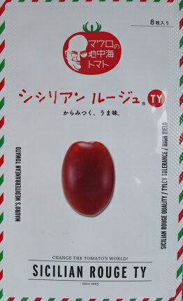 シシリアンルージュTY　　　パイオニアエコサイエンスのミニトマト品種です。