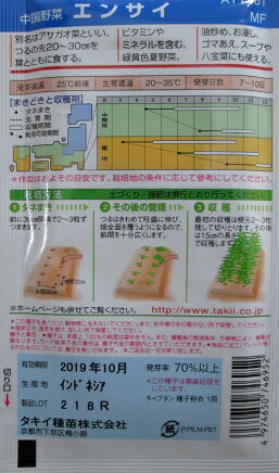中国野菜　エンサイ（空心菜種）　　タキイ種苗のエンサイ種子です。（5袋セット）