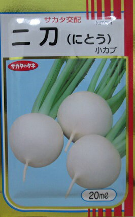 サカタ交配 二刀小カブ サカタのタネの蕪品種です。20ml規格