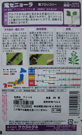 茎ブロッコリー　紫セニョーラ　サカタのタネの茎ブロッコリー品種