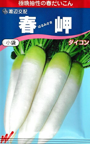 渡辺交配「春岬大根」は、極晩抽性タイプの春大根品種です。 寒さに強く、肥大性が良い品種です。 抽立ちが遅いので比較的に安心して栽培できます。 尻づまりが良く、光沢がある大根になります。 収穫後の日持ちも良いです。 家庭菜園から直売店で販売される農家の方まで、幅広くおすすめできます。 【種蒔き時期】 〇冷涼地では3月、4月 〇中間地では12月から3月 〇暖地では10月5日頃から2月5日頃 注：寒い時期はトンネルなどを使っての栽培になります。