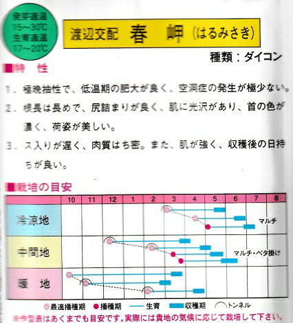 渡辺交配　春岬大根　渡辺農事の春大根品種　（1000粒入り）