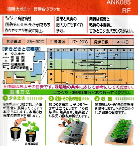 ���������ۡ�����å������ܥ��㡡���������ĤΥ��ܥ����ʼ�