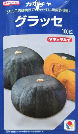 タキイ交配　グラッセ　カボチャ　100粒入り　タキイ種苗のカボチャ品種