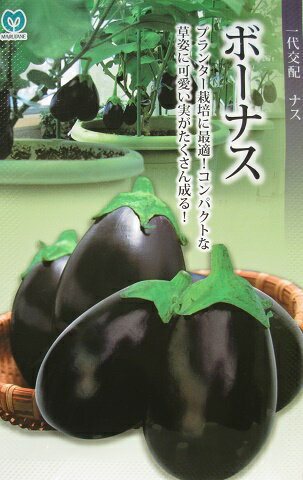 楽天市場】スズメナスの通販