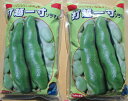 ソラマメ サカタのタネ 打越一寸 1L入り×2袋セット
