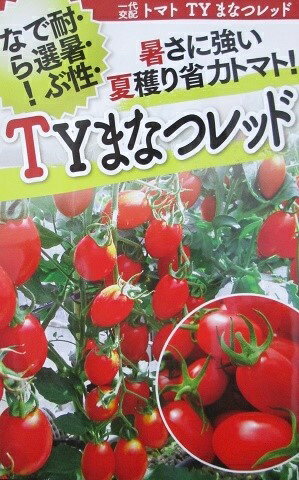 一代交配　ミニトマト種　TYまなつレッド　フタバ種苗